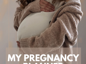 My pregnancy planner