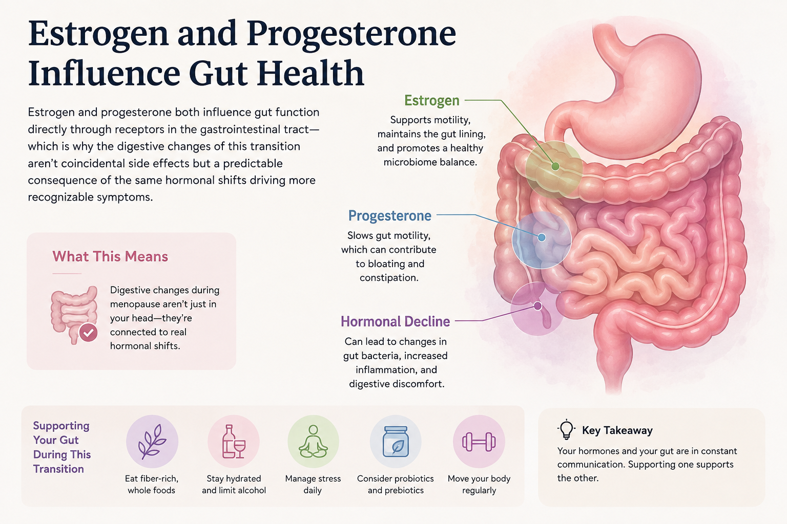 How Hormones Affect the Gut Directly